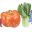 Favicon tous-au-potager.fr