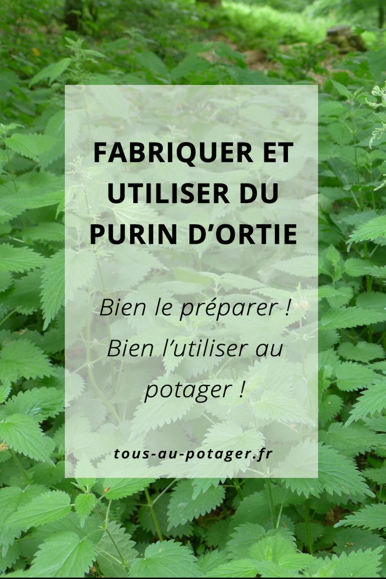 Purin d’ortie recette, dosage et utilisation au potager bio — free download
