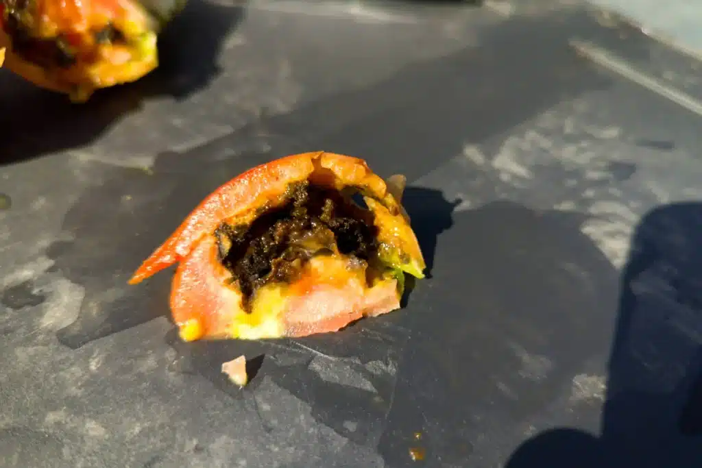 Intérieur d’une tomate trouée avec cavité sombre et nombreuses déjections
